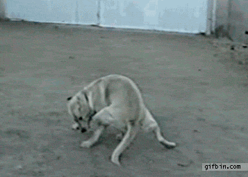 Просто гифки, всякие и&nbsp;разные