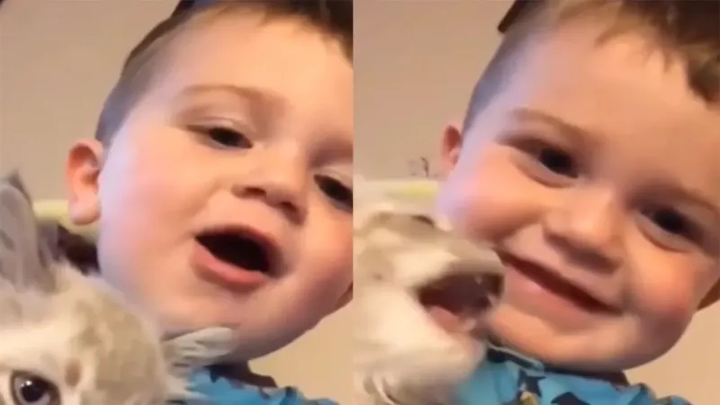 Котёнок и мальчик нашли общий язык