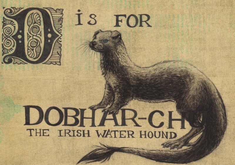 Добхар-чу: повелитель выдр из озёр Ирландии