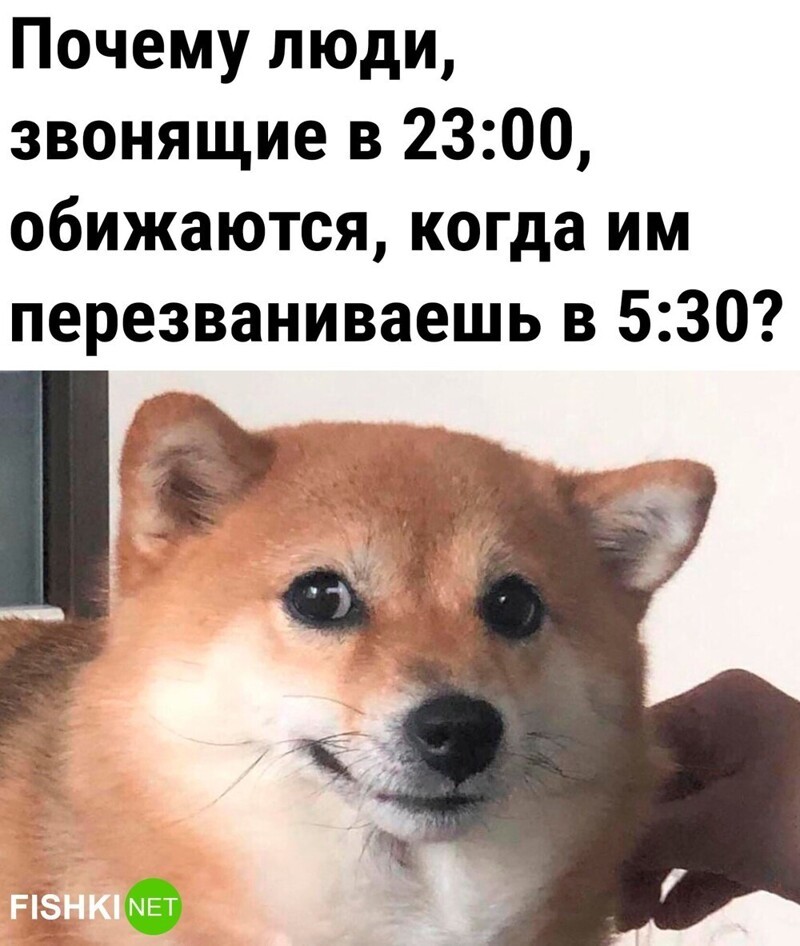 Не очень понятно