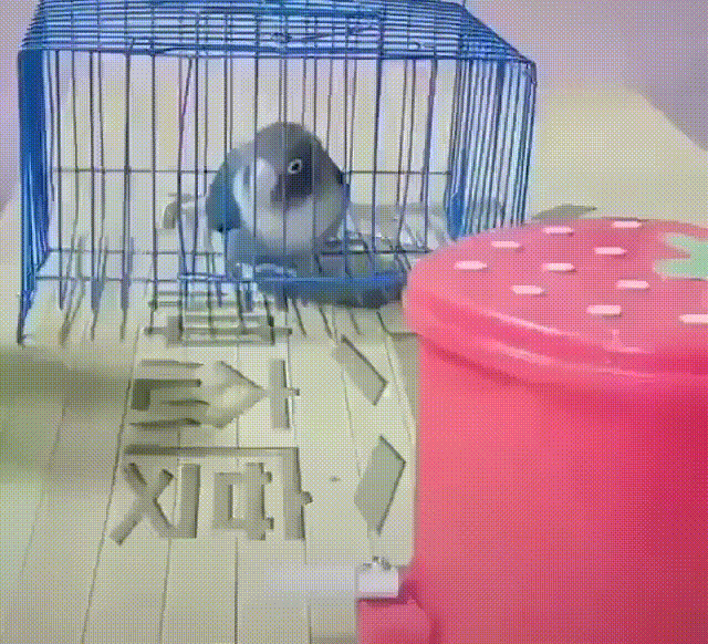 Просто гифки, всякие и&nbsp;разные