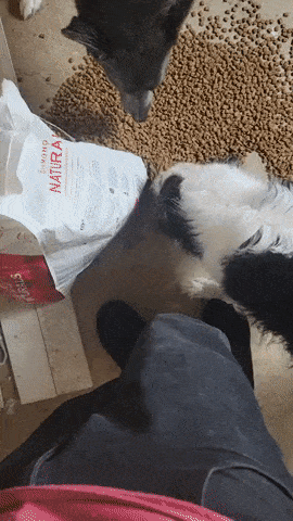 С добрым утром