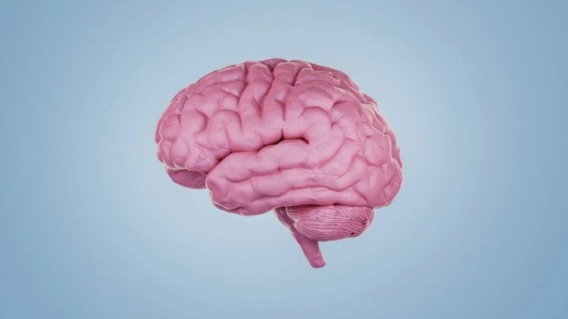 8. Одна из самых странных болезней головного мозга - Capgras-синдром. В этом случае мозг заставляет людей верить, что их близких заменили двойниками