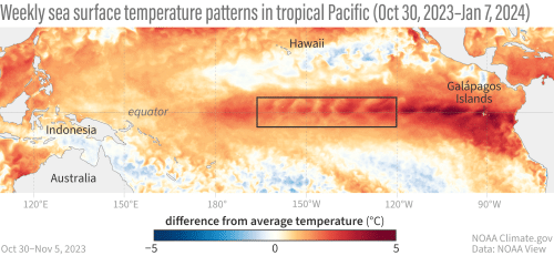 Недельные температуры поверхностных вод в тропиках Тихого океана (30 октября 2023 — 7 января 2024), сравнение со средними температурами