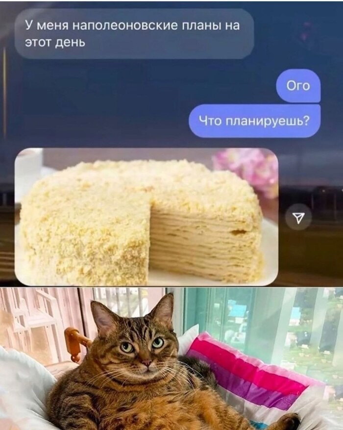 
Смешные С Комментариями