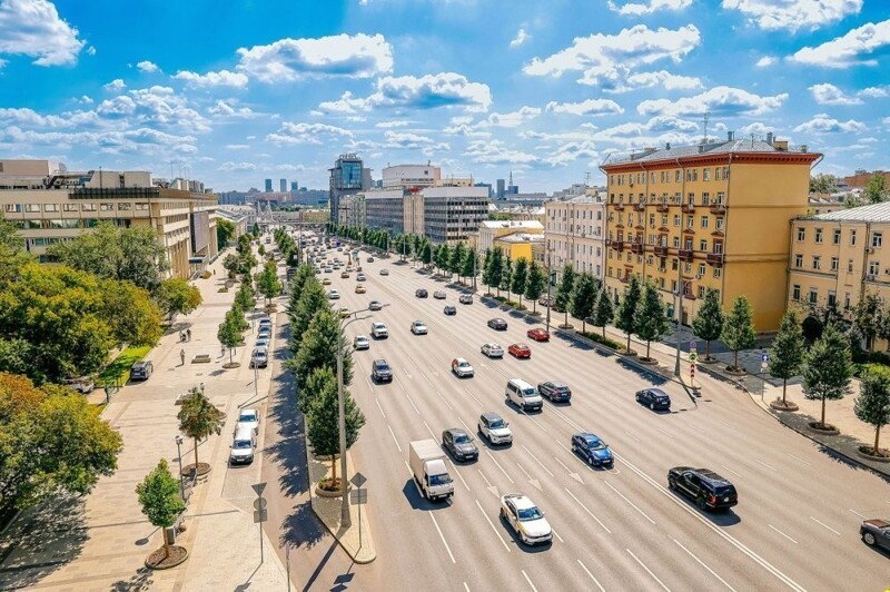 За 12 лет в Москве высадили 12,8 млн деревьев и кустарников
