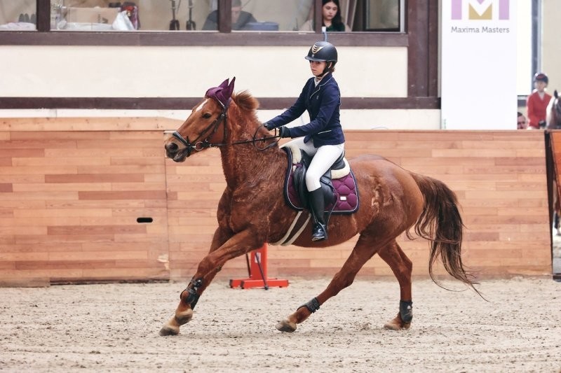 "Остановись! Ты что делаешь?!": российская спортсменка избила на соревнованиях лошадь, после чего была дисквалифицирована
