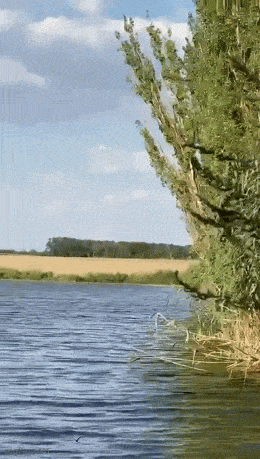 Ничто не предвещало