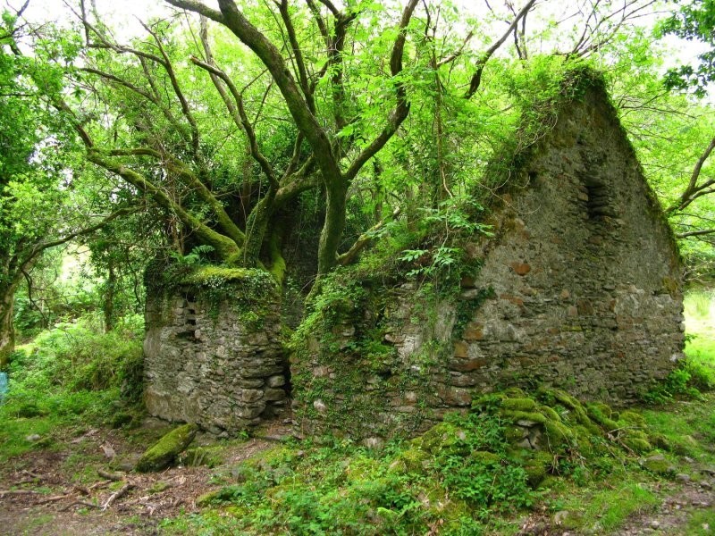 7. Старый каменный дом, Кенмар, Ирландия