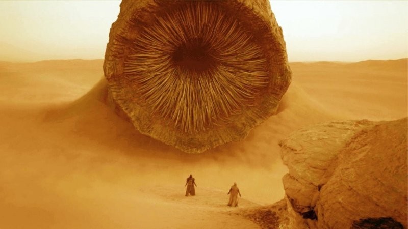 Пустынный червь смерти – таинственный обитатель пустыни Гоби