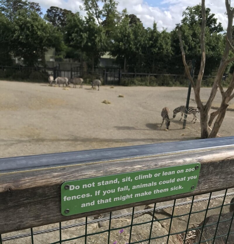 9. В этом зоопарке очень заботятся о животных