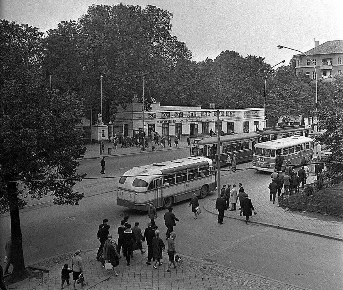 Калининград 1946 1966 Фотографии Из Семейного Альбома