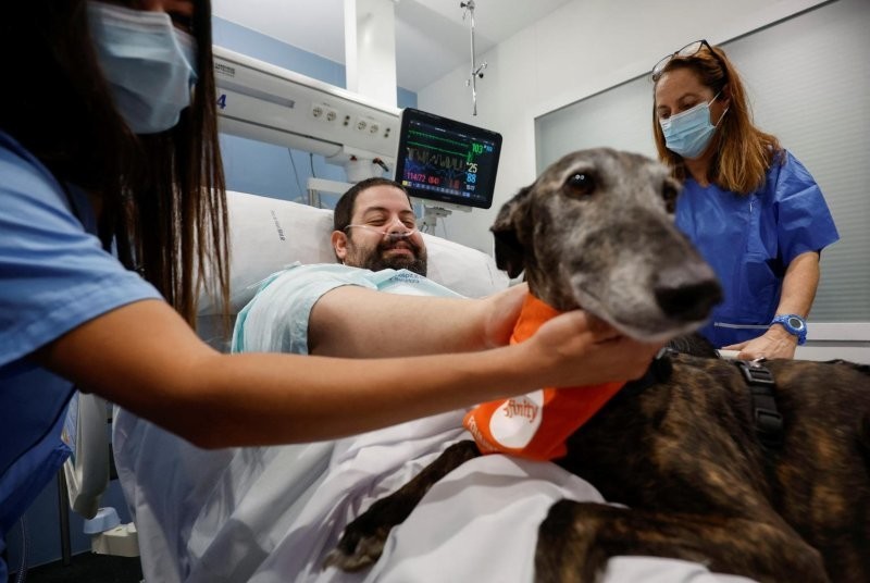 Собаки-терапевты трудятся в одной из больниц Барселоны
