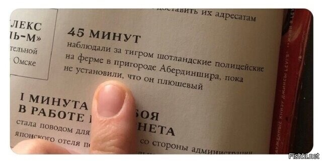 Солянка – новые фотографии, комиксы на Fishki.net