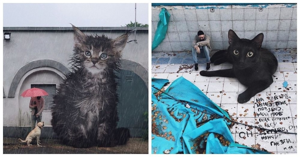 20 фантастических изображений, которые показывают мир ну очень больших кошек