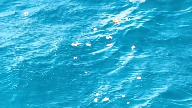 Жители Флориды в ярости: отдыхающие сбрасывают мусор в океан