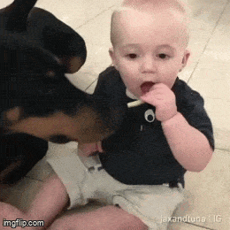 Друзья обязаны делиться