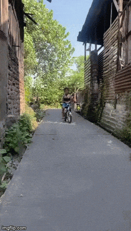 Мгновенная кара