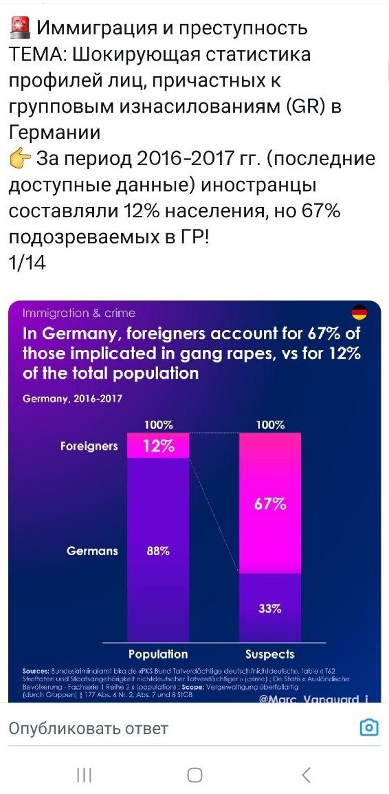 Немецкого политика оштрафовали за публикацию официальной статистики о преступлениях мигрантов