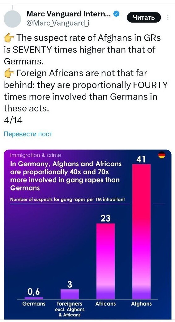 Немецкого политика оштрафовали за публикацию официальной статистики о преступлениях мигрантов