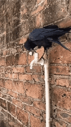 Просто гифки, всякие и&nbsp;разные