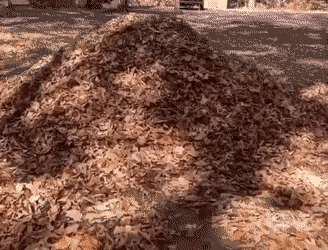 Просто гифки, всякие и&nbsp;разные