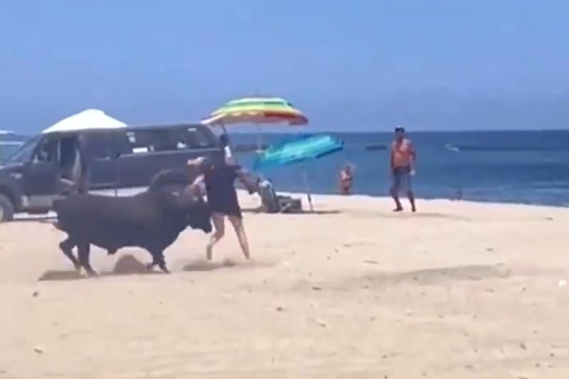 Дикий бык атаковал туристку на популярном пляже в Мексике
