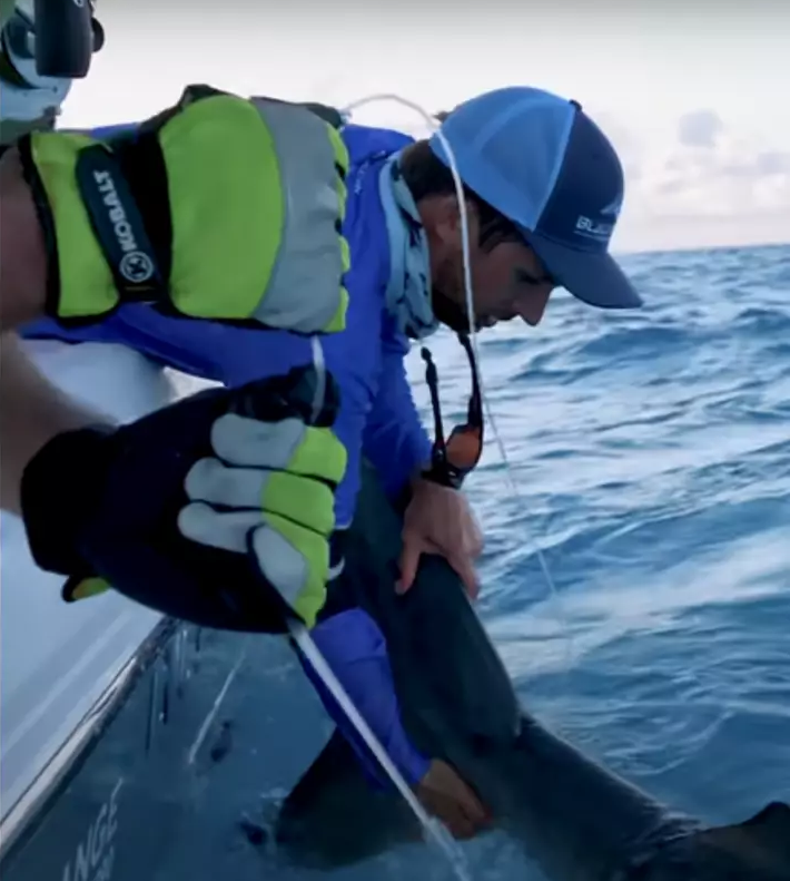 Мужчина поймал на крючок огромную акулу во время рыбалки