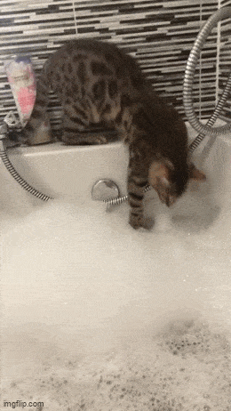 Снимите это немедленно