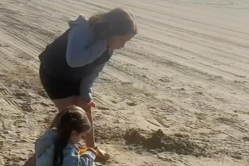 Сбор ракушек на пляже Калифорнии чуть не разорил семью
