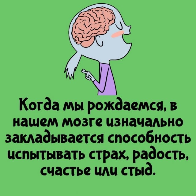 А вдруг ты не знал…
