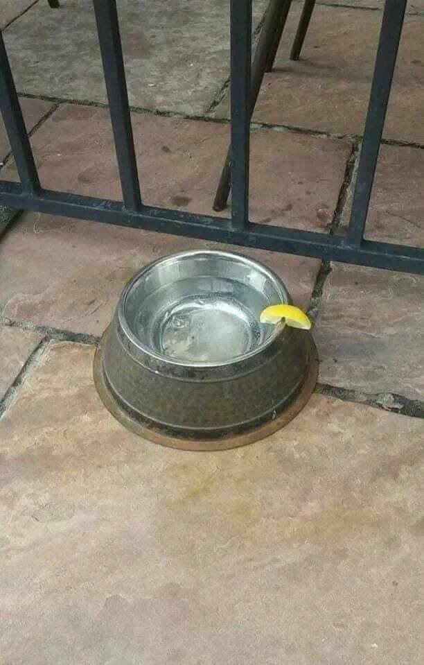  Намешалось 