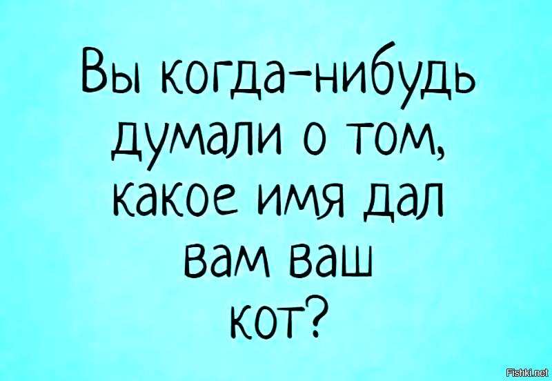 Ты когда нибудь делал это. Какое имя дал вам ваш кот. вы когда-нибудь задумывались, какое имя дал вам ваш кот ©. вы когда нибудь задумывались. какое имя дал вам ваш кот смешные картинки с надписями.