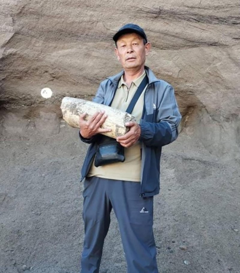 В Киргизии рабочие каменоломни нашли останки мамонта