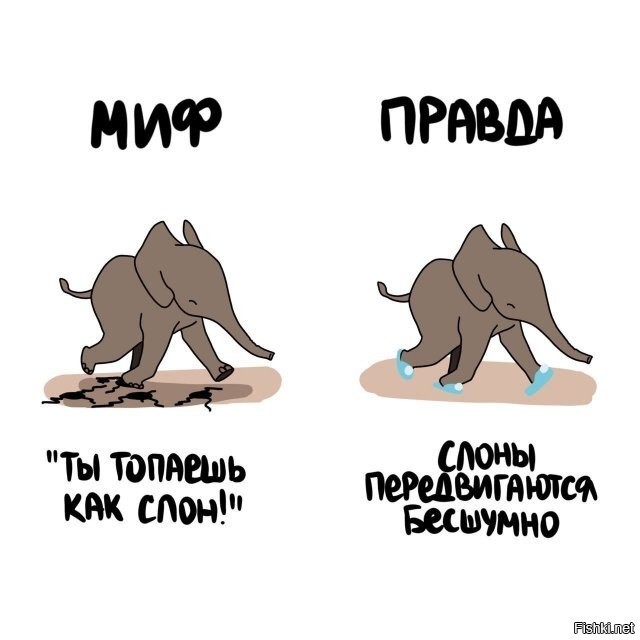 Солянка – новые фотографии, комиксы на Fishki.net