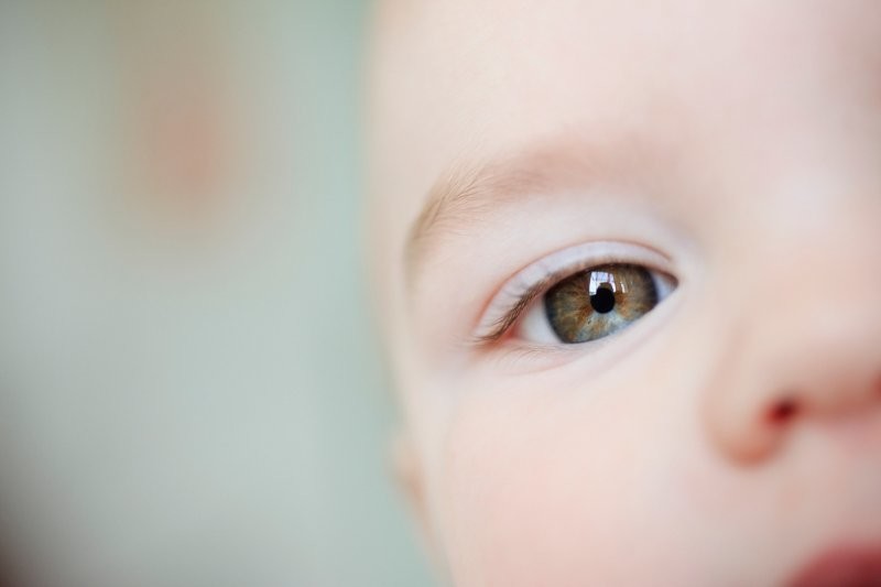 5. Зрение младенцев