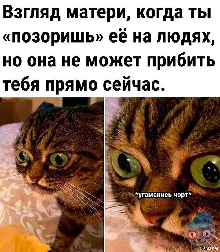 Смотрит матом