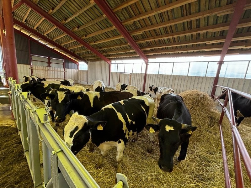 Двенадцатую новую ферму открыли в Удмуртии в этом году