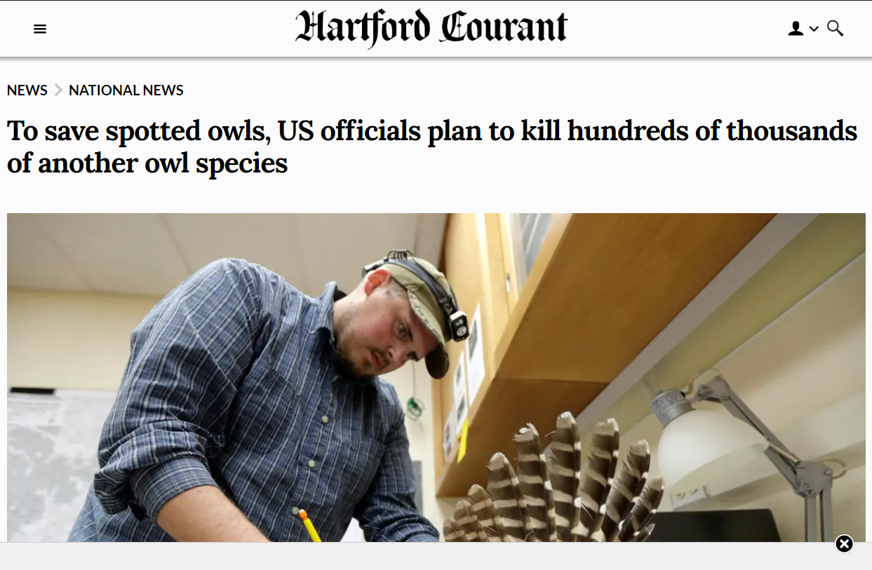 Власти США планируют истребить один вид сов, чтобы спасти другой
