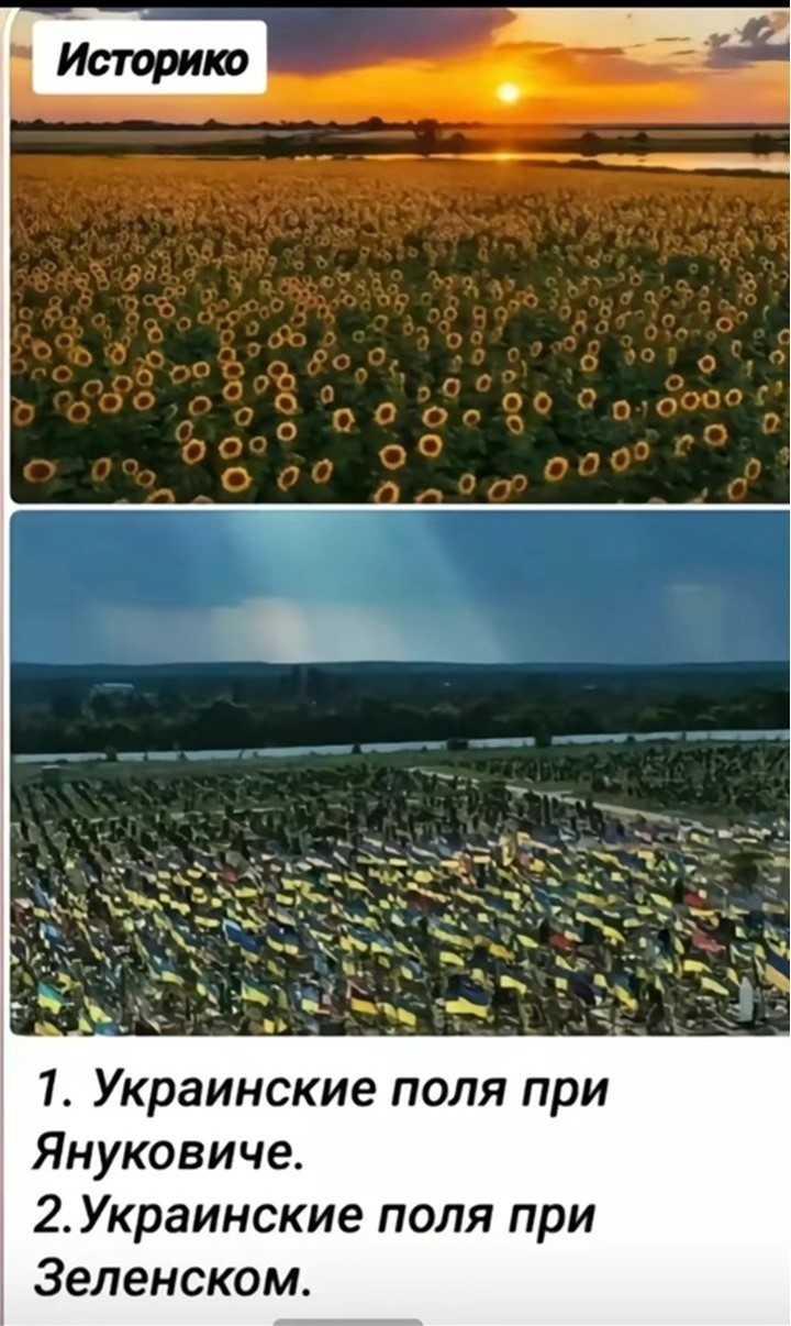 Политический мониторинг (377)