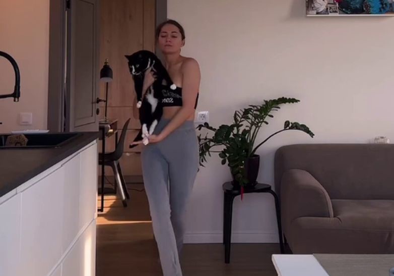 Кот "навалил" контента