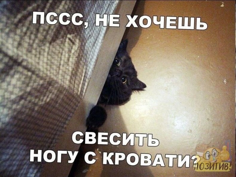 Коржик korzik net