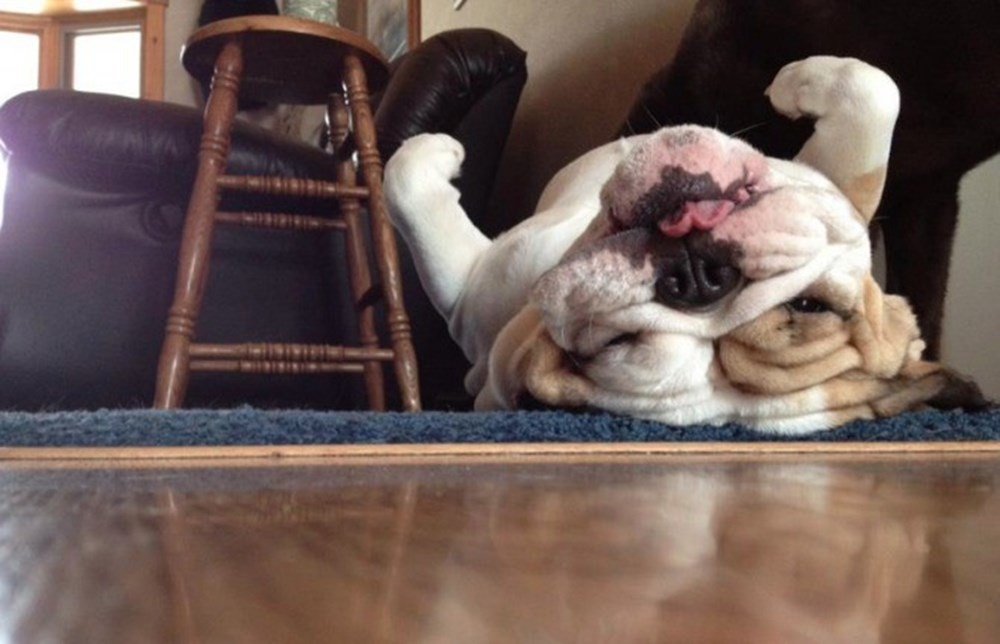 21. Где примостился, там у угнездился