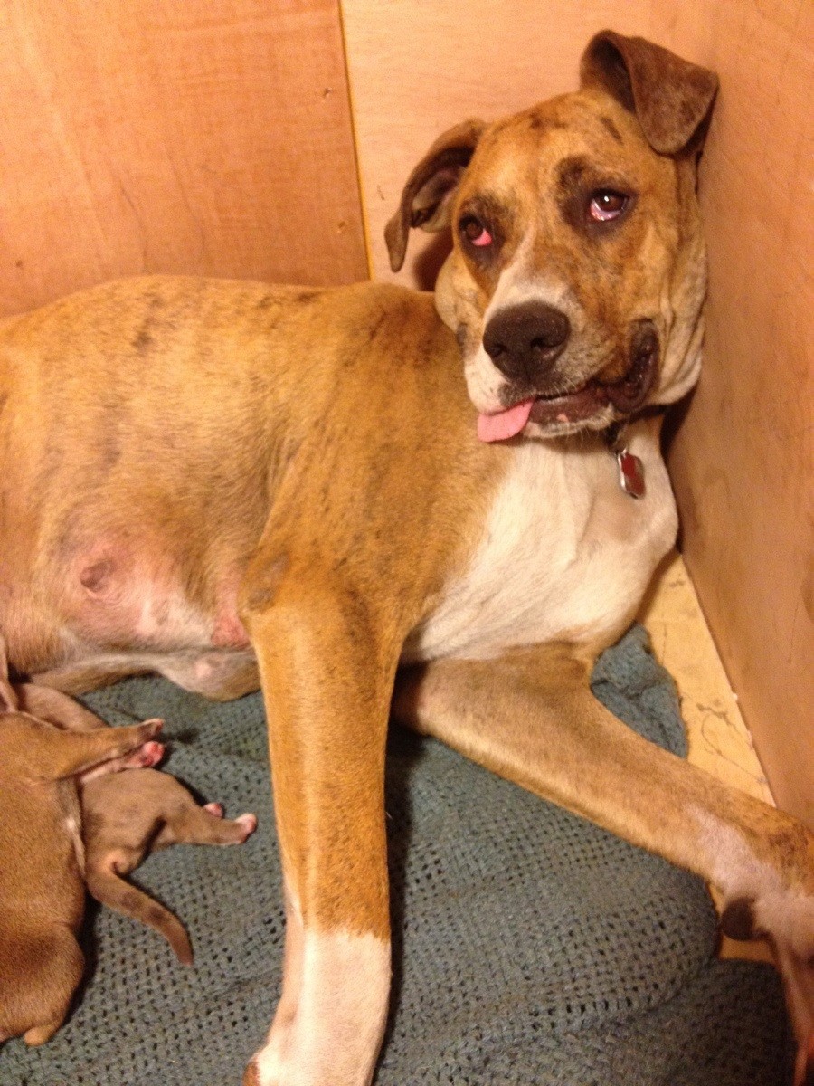 10. Радость материнства - умение спать с открытыми глазами