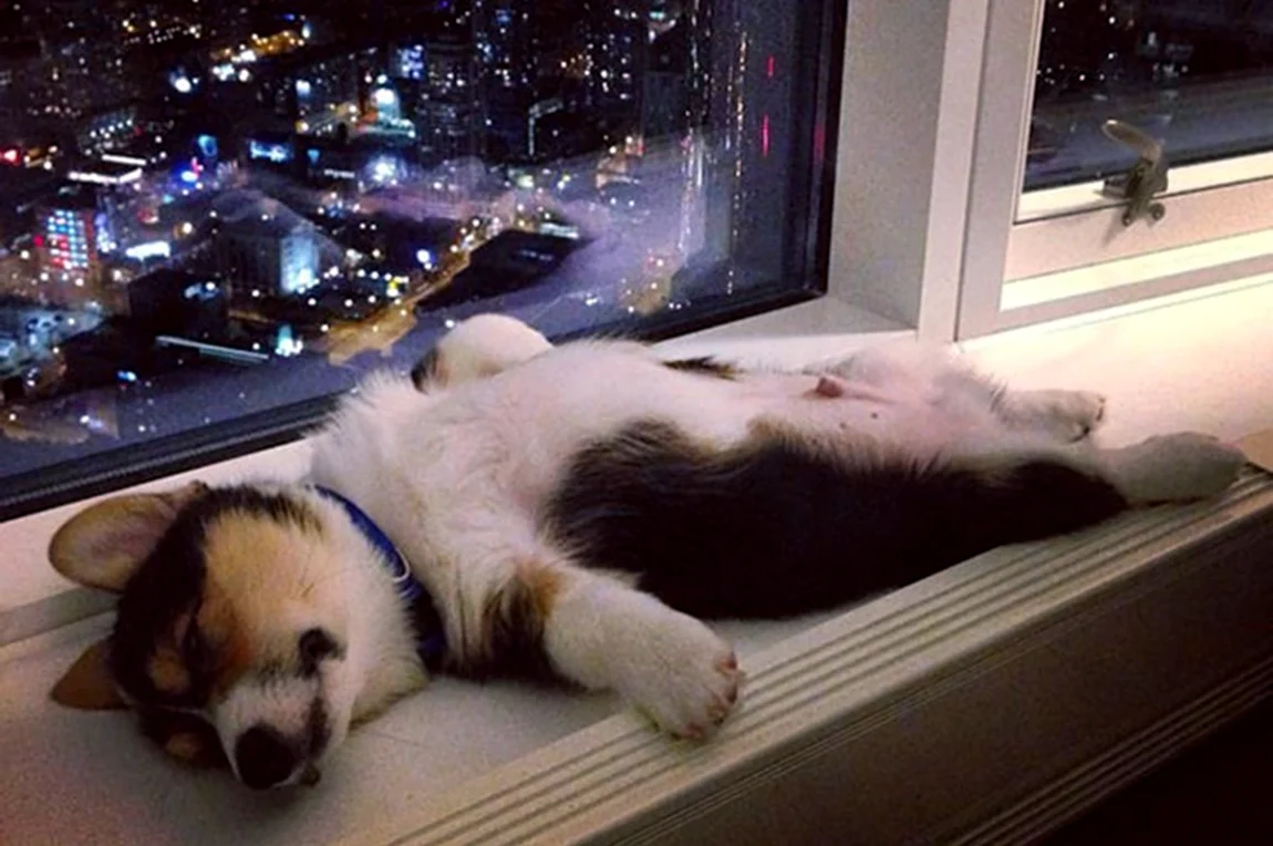 23. Огни большого города