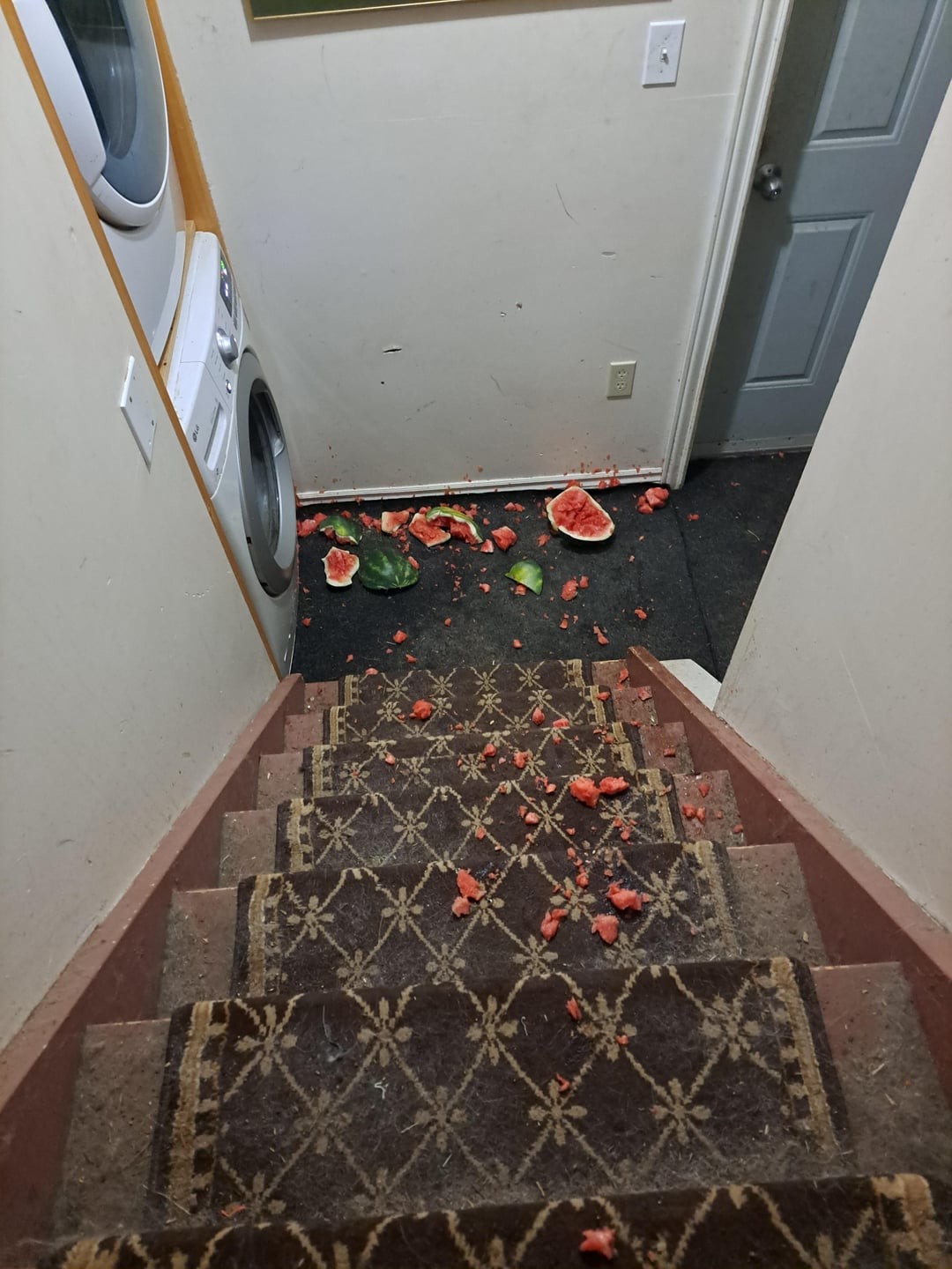 7. Поели арбузика