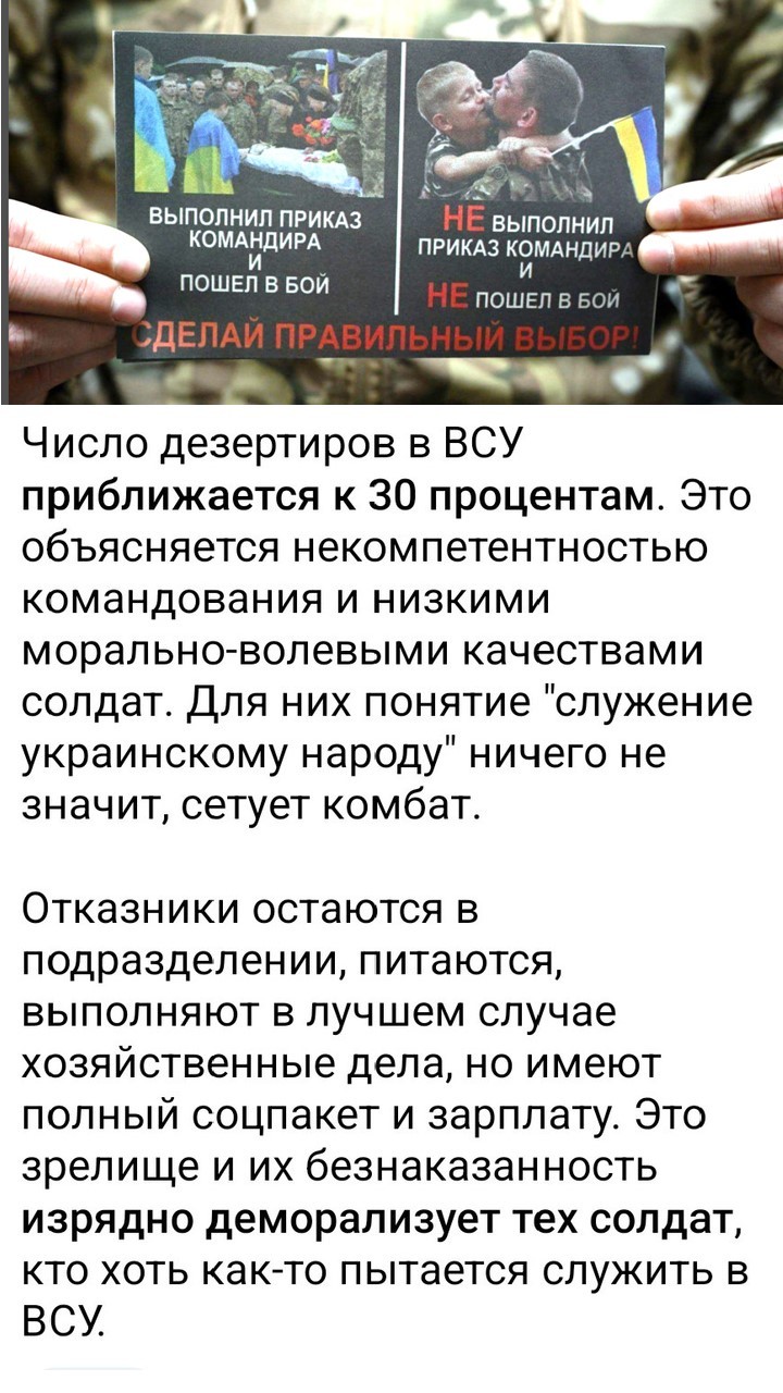 Политический мониторинг (443)