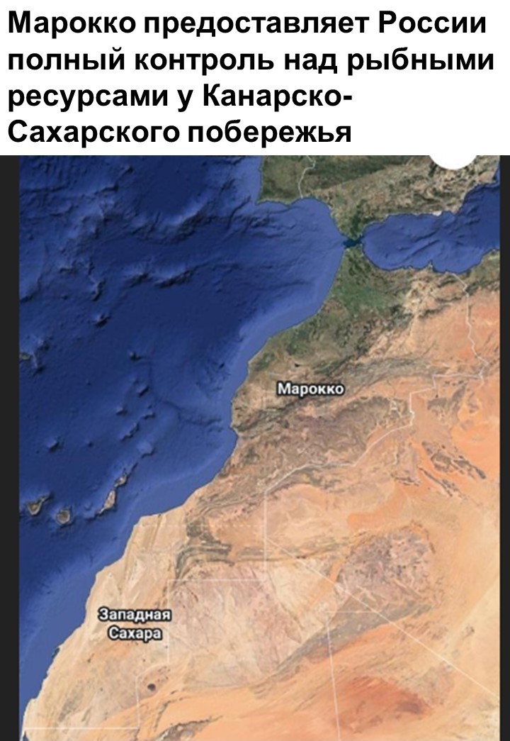 Политический мониторинг (443)