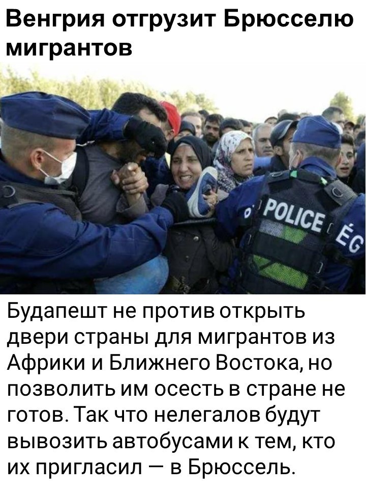 Политический мониторинг (443)