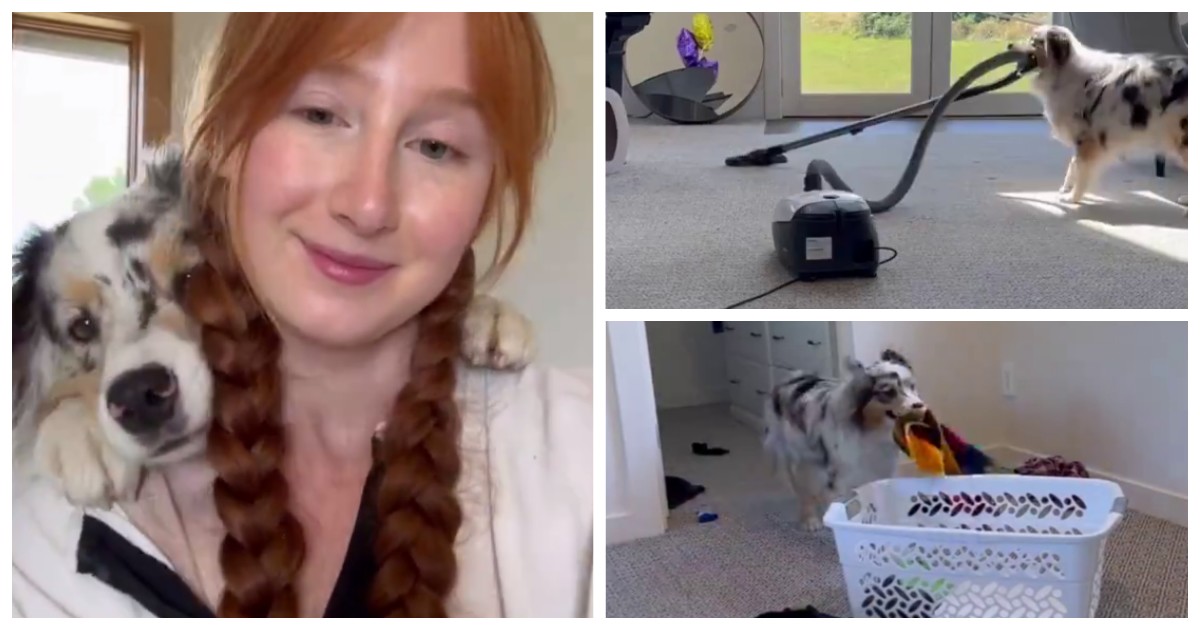 Пёс помогает хозяйке с домашними делами